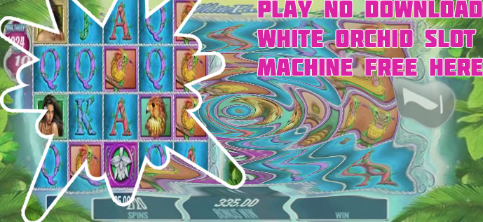 Free white orchid slot no download