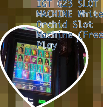White orchid slot game